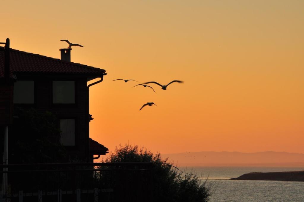 Deep Blue Guest House Σωζόπολη Εξωτερικό φωτογραφία